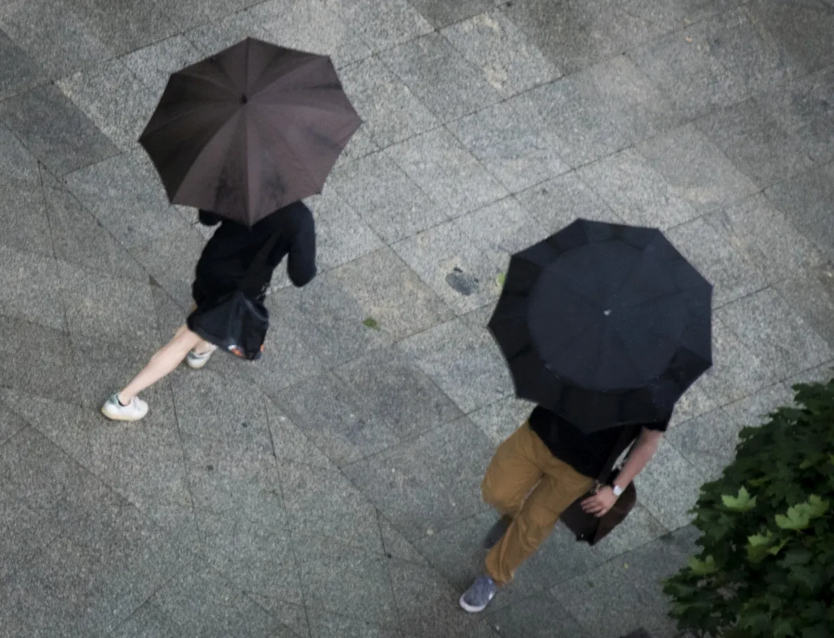 Two dark umbrellas seen from above on wet pavement